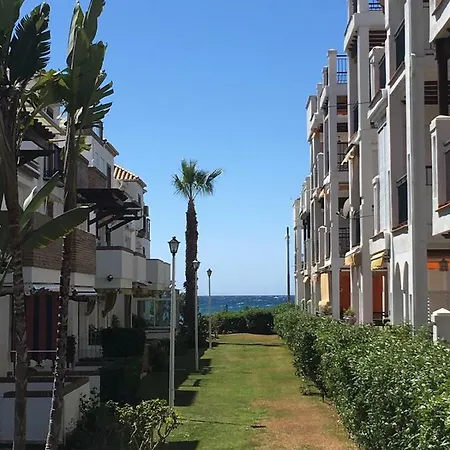 Coral Torrox